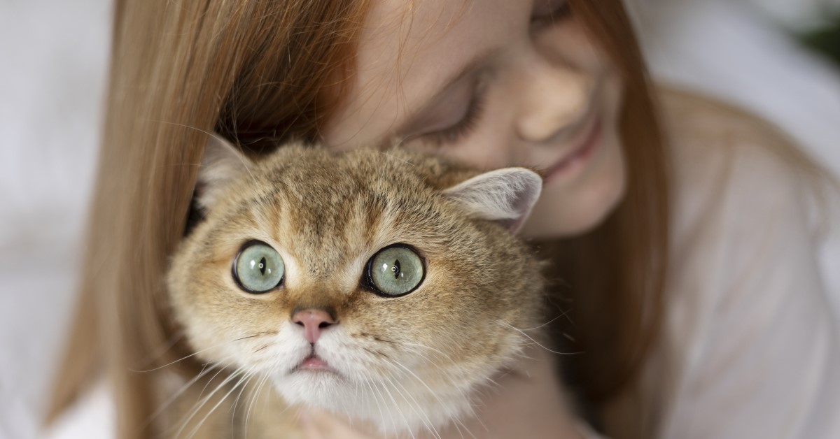 Facts About Cats: Understanding Your Cat's Eyes and Vision